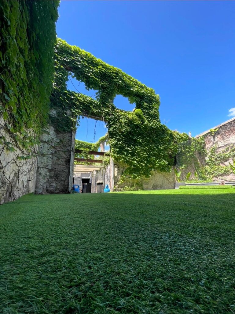 whatsapp image 2026 03 22 at 22.11.08