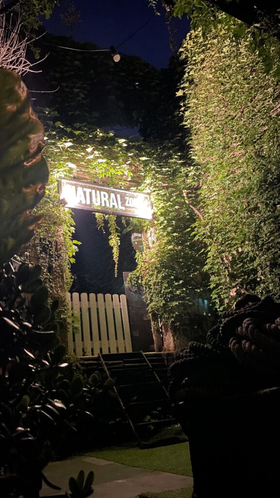 whatsapp image 2026 03 22 at 22.11.57